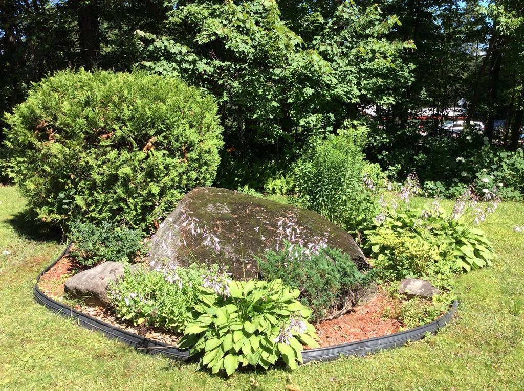 Chez Lulu Et Lutin Bed & Breakfast Rawdon Exterior photo